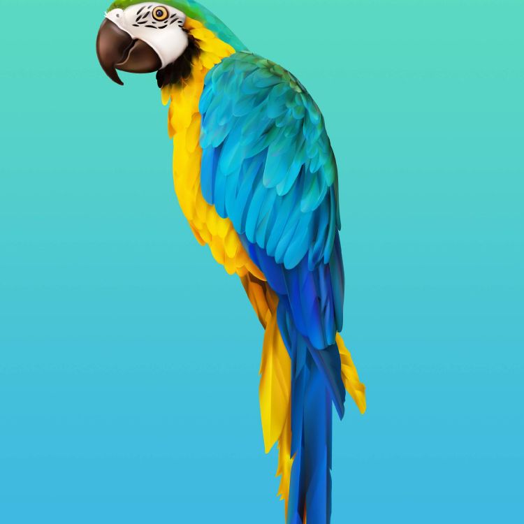 Обои Huawei, Huawei Honor 20, huawei honor 20 pro, честь 20 про, честь вид20 в разрешении 2340x2340