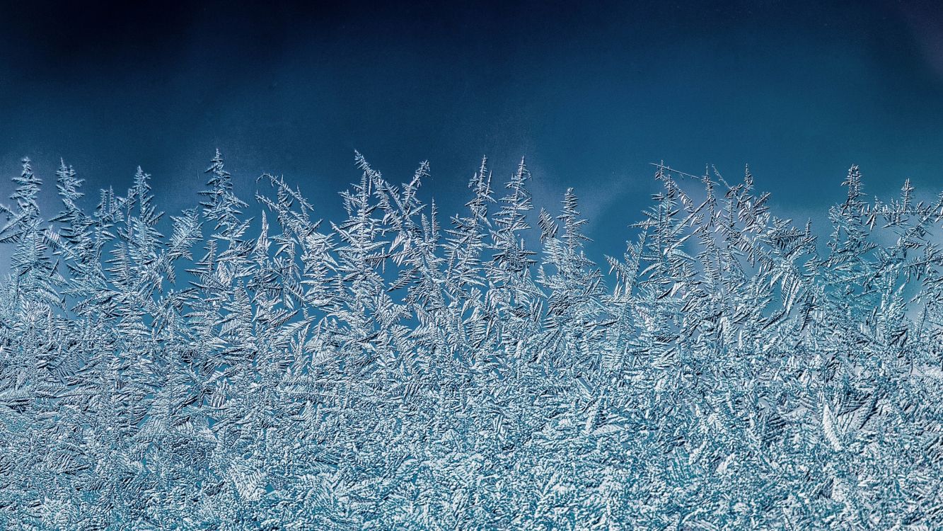 Обои зима, иллюстрация, лазурный, прут, природный ландшафт в разрешении 3200x1800