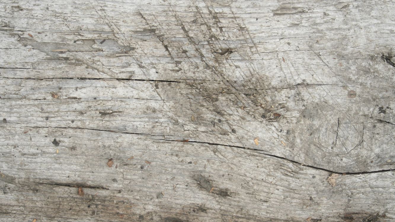 Обои древесина, обнажение, каменная стена, текстура, рок в разрешении 2560x1440