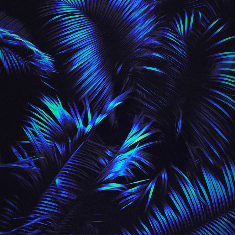 Обои синий, лазурный, наземное растение, электрик, узор в разрешении 2832x2832