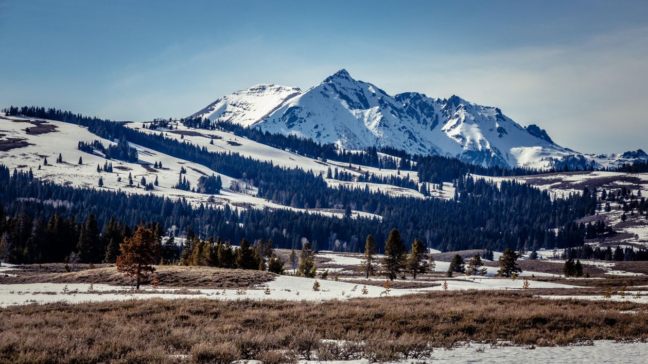 Обои зима, гора, облако, растение, снег в разрешении 5120x2880