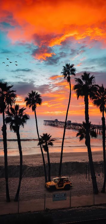 Обои послесвечение, облако, вода, растение, природа в разрешении 1420x3000