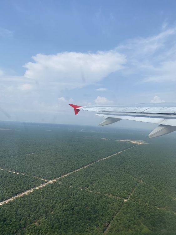 Обои воздушное путешествие, самолет, самолеты, полет, облако в разрешении 1536x2048