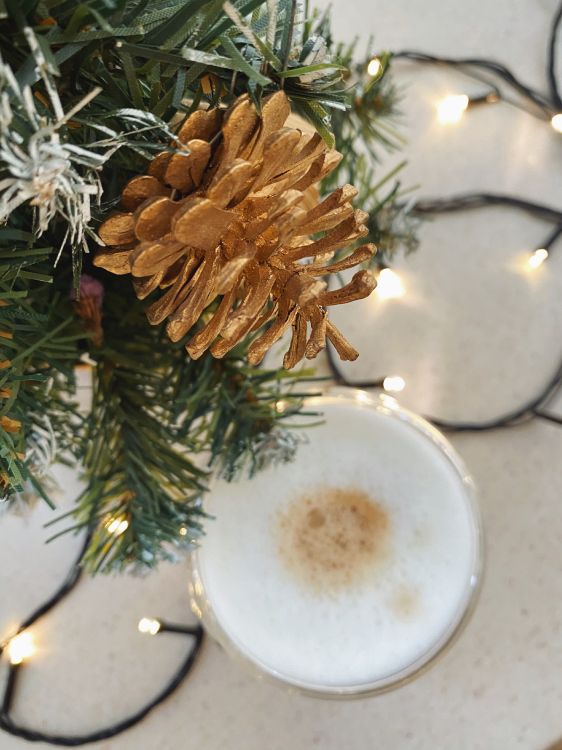 Обои сосна, serveware, посуда, Рождественские украшения, Рождество в разрешении 3024x4032