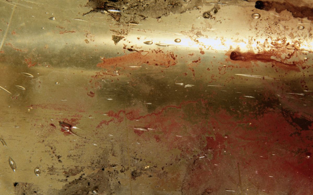 Обои ржавчина, вода, текстура, почва в разрешении 2560x1600