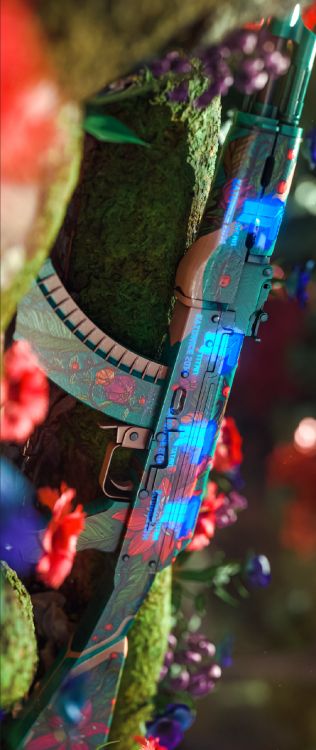 Обои лист, растение, наука, биология, ветвь в разрешении 1080x2560