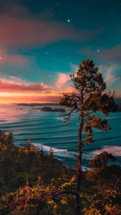 Обои природа, облако, вода, атмосфера, экорегион в разрешении 760x1350