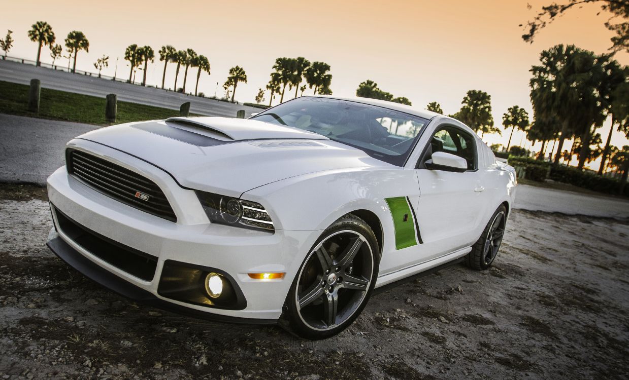 Обои 2009 Форд Мустанг, Шелби Мустанг, компания Ford, ford, авто в разрешении 4096x2479