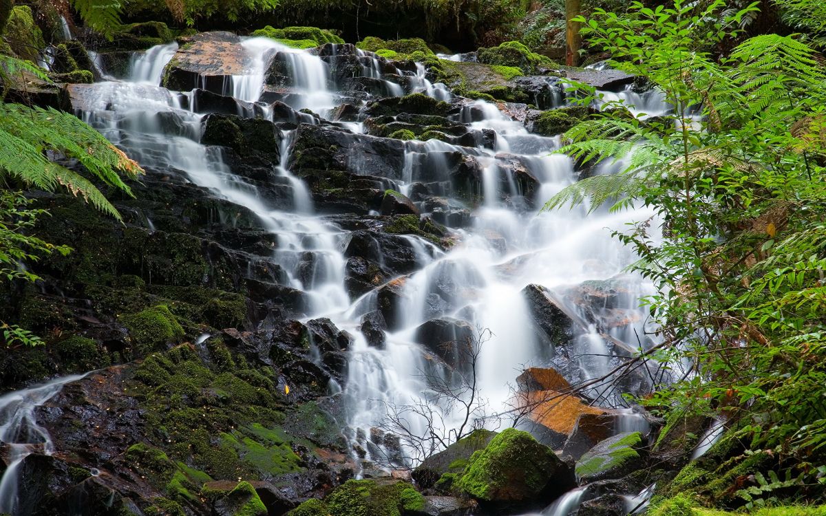 Обои водопад, Ярра Диапазоны Национальный Парк, водоток, гидроресурсы, водоем в разрешении 2560x1600