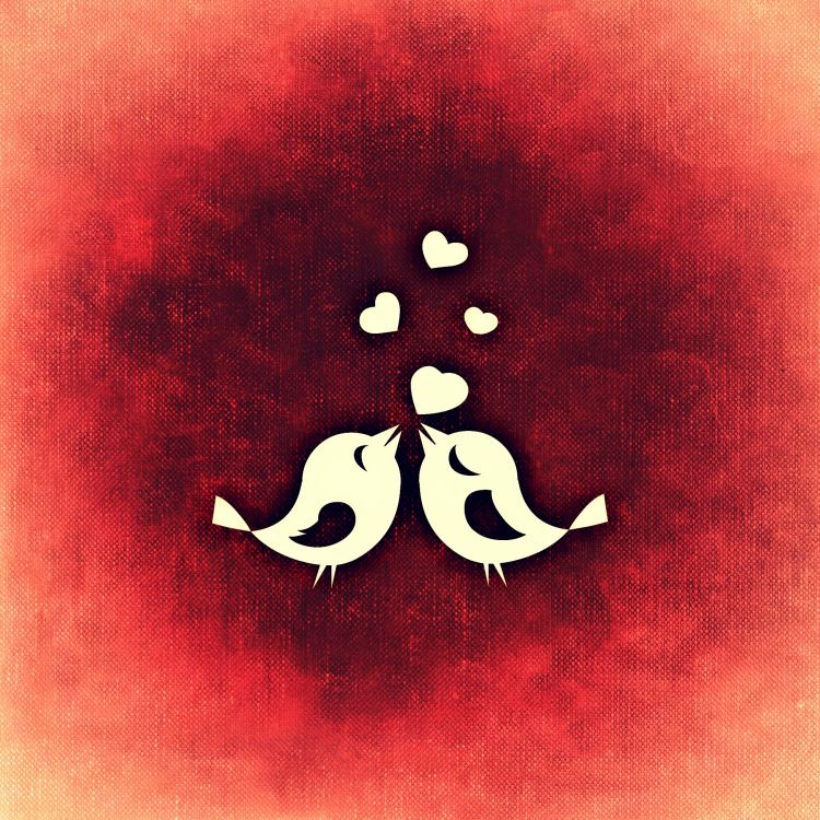 Обои День Святого Валентина, котировка, иллюстрация, арт, графика в разрешении 2048x2048