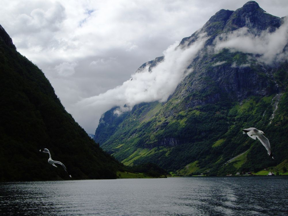 Обои гора, природа, нагорье, фьорд, вода в разрешении 3072x2304