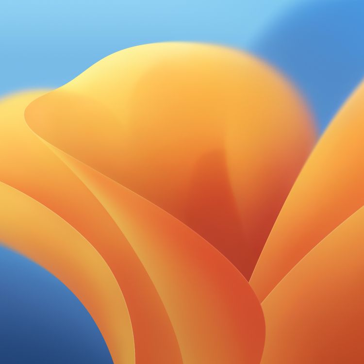 Обои macOS 13 – Official Stock Wallpaper | Light в разрешении 6016x6016
