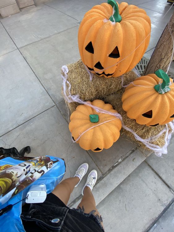 Обои зимний сквош, кабачок, Джек о фонарь, калебас, овощ в разрешении 1536x2048