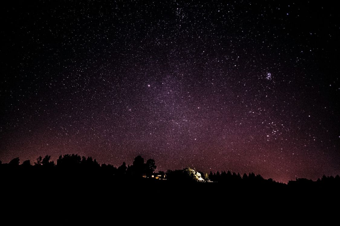 Обои ночь, темнота, дерево, атмосфера, звезда в разрешении 4898x3265