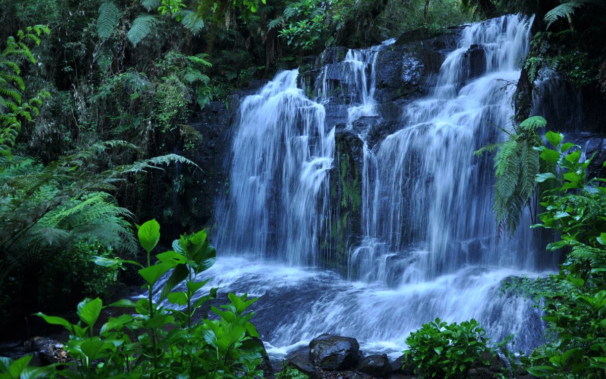 Обои водопад, природа, гидроресурсы, водоем, природный заповедник в разрешении 2560x1600