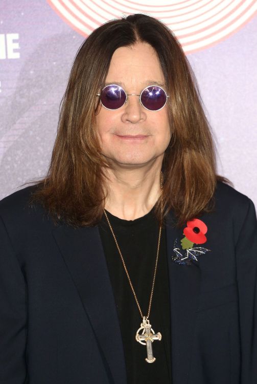 Обои знаменитость, волосы, прическа, длинные волосы, подбородок в разрешении 2551x3799