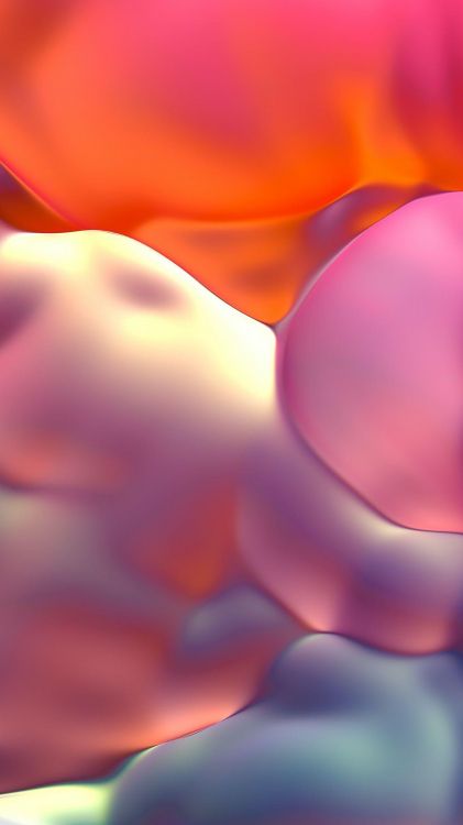 Обои цветок, пурпур, лепесток, Апельсин, розовый в разрешении 1242x2208