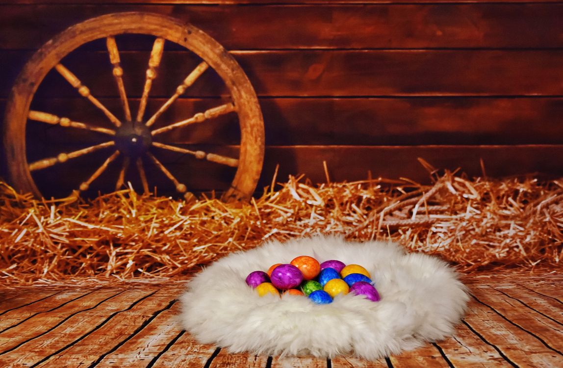 Обои счастливой Пасхи западной, пасхальное яйцо, праздник, пасха, кот в разрешении 5912x3862