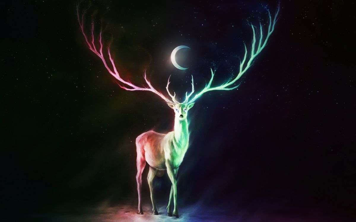 Обои олень, свет, Северный олень, графический дизайн, темнота в разрешении 3840x2400
