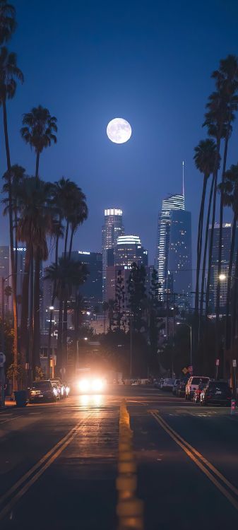 Обои здание, дневное время, атмосфера, небоскреб, растение в разрешении 1080x2400