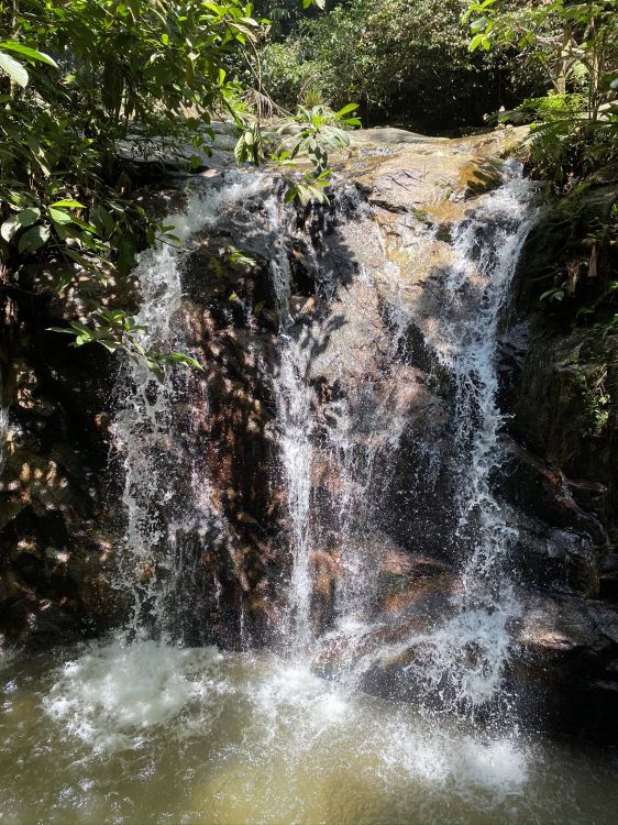 Обои водопад, гидроресурсы, водоток, водоем, природа в разрешении 1536x2048