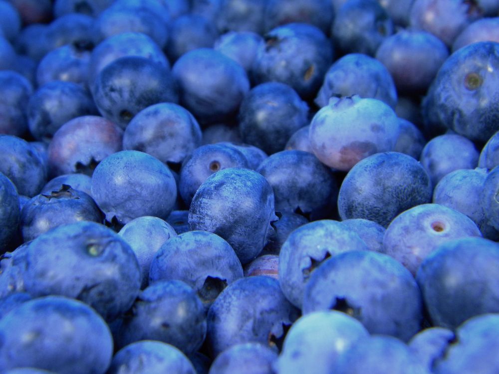 Обои Черника, фрукты, ягоды, синий, суперфуд в разрешении 3600x2700