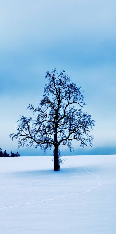 Обои галерея 1313, арт, артист, в галерее, облако в разрешении 2600x5200