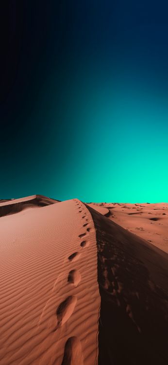 Обои коричневый цвет, склон, эрг, биом, пейзаж в разрешении 1284x2778