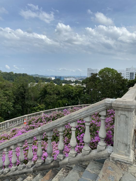 Обои облако, пурпур, пурпурный цвет, Фиолетовый, лаванда в разрешении 1536x2048