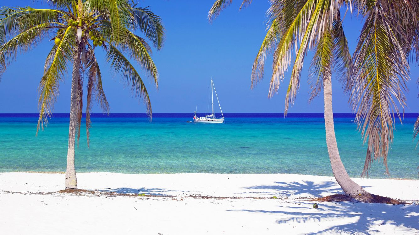 Обои пляж, тропическая зона, Пальма, Карибский бассейн, отпуск в разрешении 4046x2276
