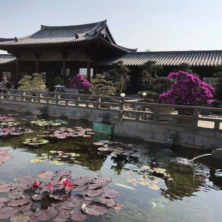 Обои Гонконг, китайская архитектура, туризм, вода, достопримечательность в разрешении 1772x1772