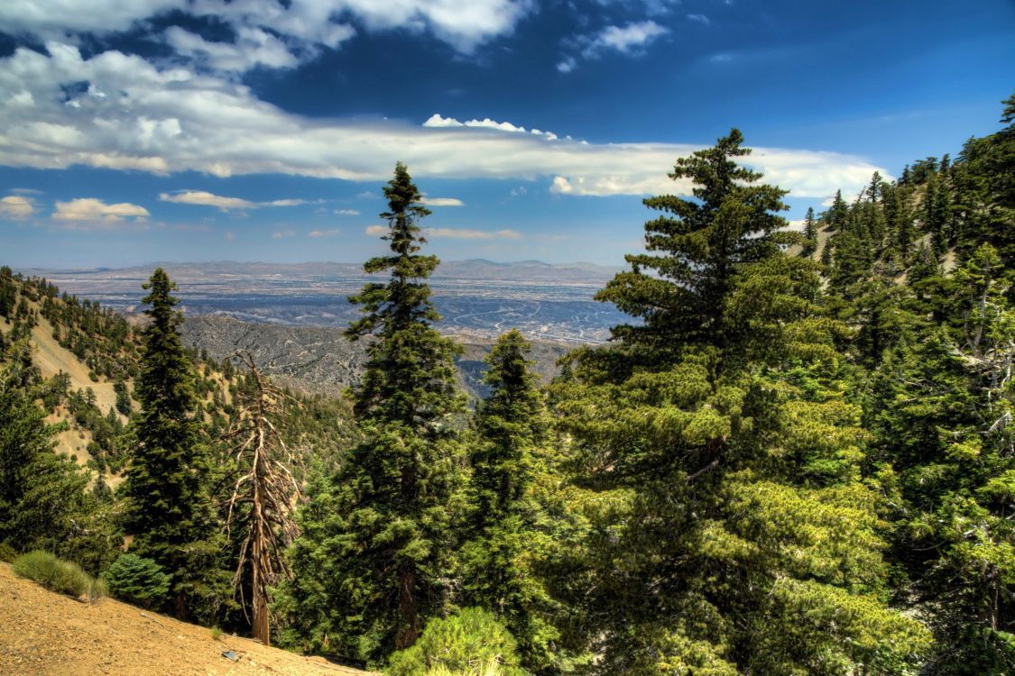 Обои дерево, природа, дикая местность, горный рельеф, ель в разрешении 2048x1365