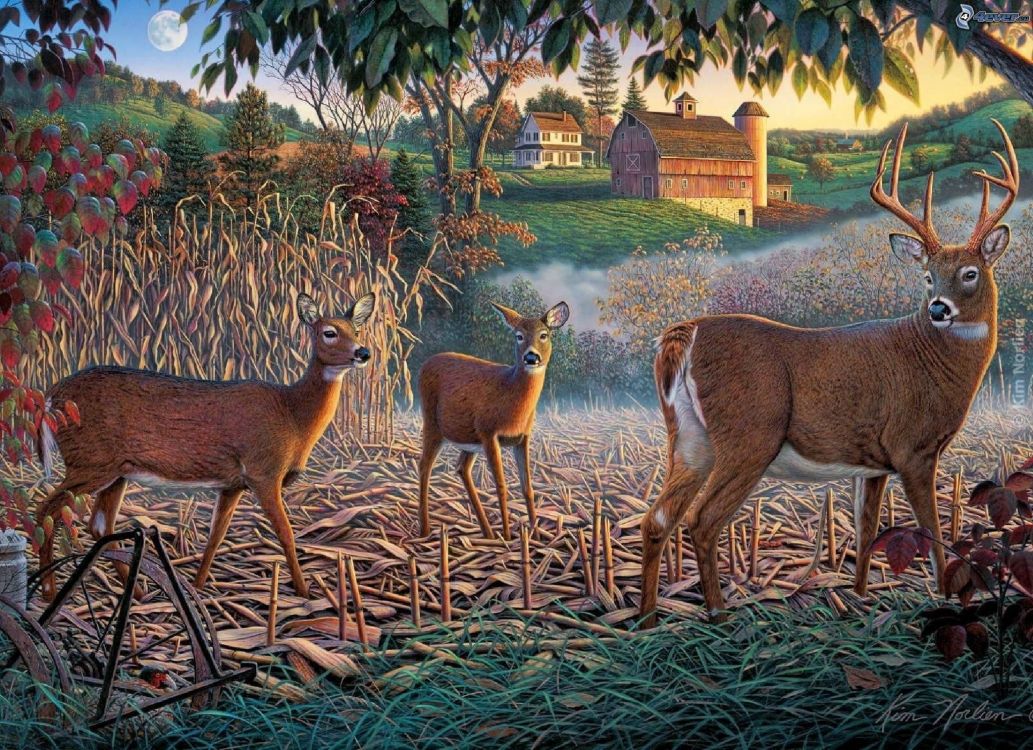 Обои олень, арт, живопись, живая природа, наземные животные в разрешении 2048x1486