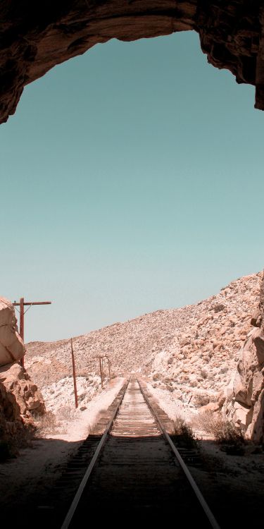 Обои коричневый цвет, древесина, пейзаж, растение, полутона и оттенки в разрешении 2295x4590