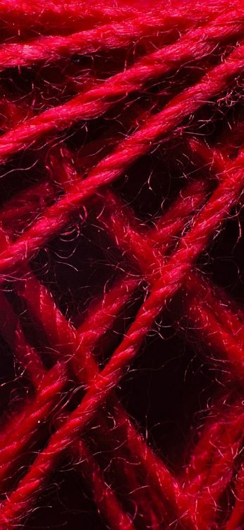 Обои крупный план, текстура, волосы, природа, пурпур в разрешении 1080x2340