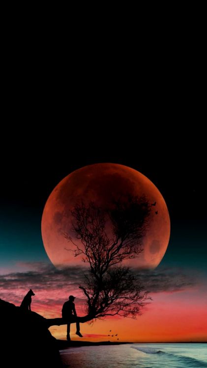 Обои арт, цифровое искусство, эстетика, атмосфера, мир в разрешении 720x1280