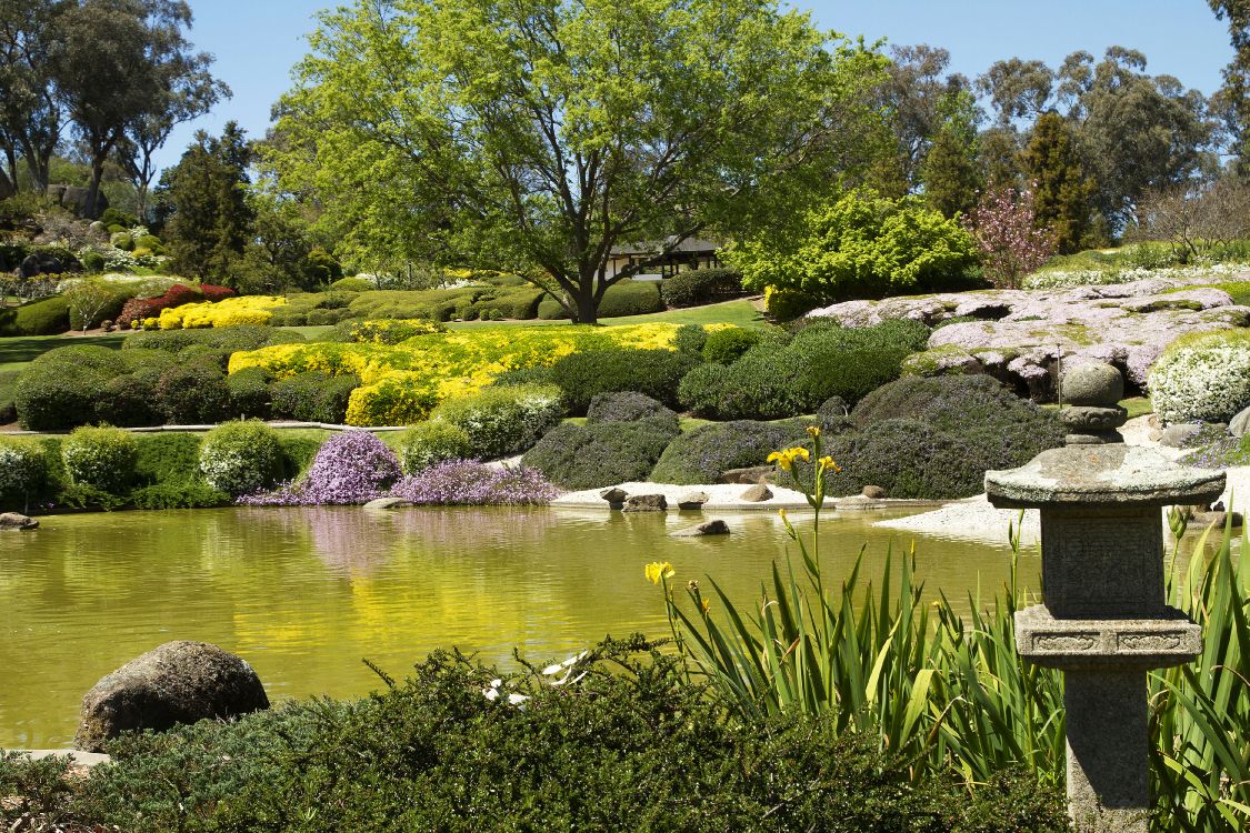 Обои Ботанический сад, природа, сад, растительность, вода в разрешении 3750x2500