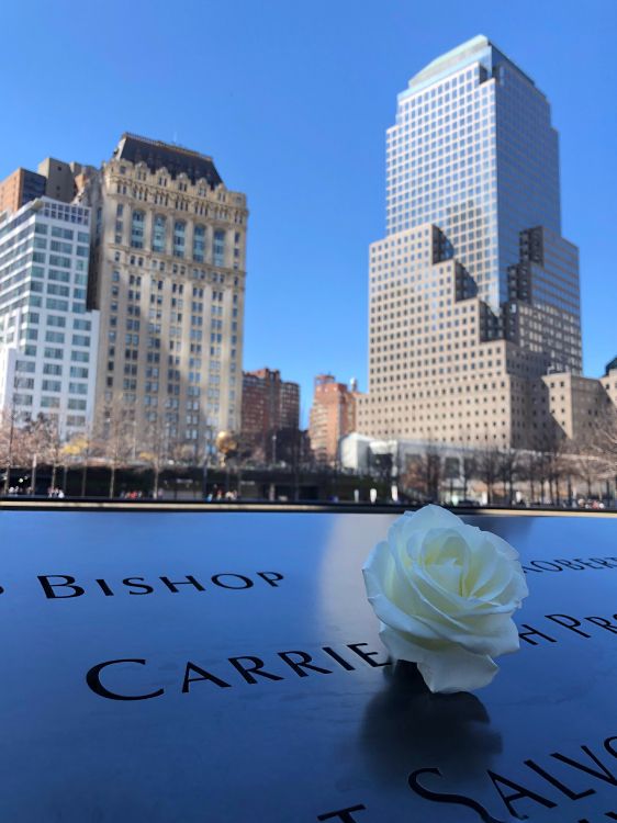 Обои отражение, город, дневное время, синий, небоскреб в разрешении 3024x4032