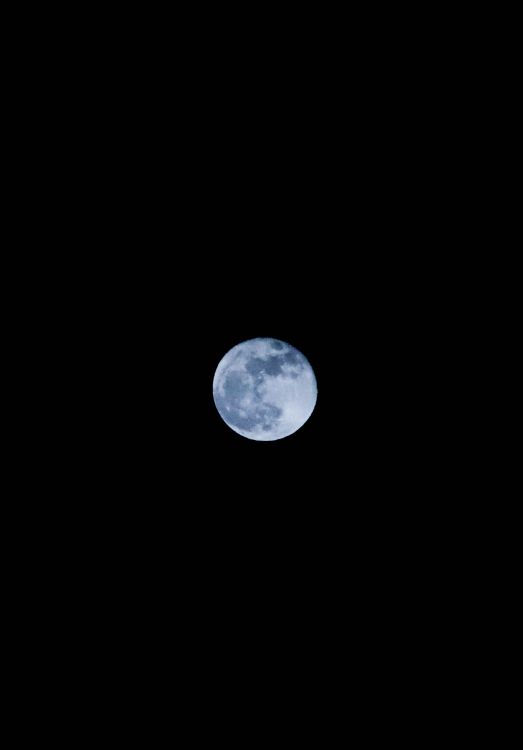 Обои В Moonlight Meadery Курц Яблочный Пирог, луна, астрономический объект, свет, лунный свет в разрешении 2611x3740