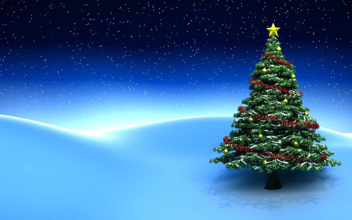 Обои Новый год, Рождественский день, елка, дерево, Рождество в разрешении 2560x1600