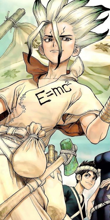 Обои доктор стоун х ридер ватпад, сэнку исигами, доктор камень, рукав, аниме в разрешении 1080x2160