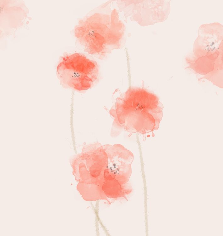 Обои Huawei, Huawei Nova, Huawei Nova 3, обои huawei p20 lite, Хуавей Р20 лайт в разрешении 2160x2280