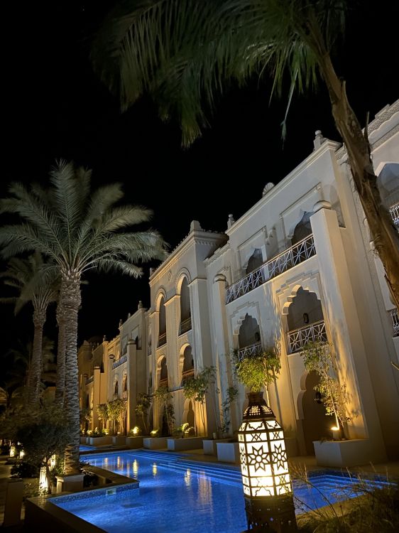 Обои Пальма, растение, мир, дерево, здание в разрешении 1536x2048