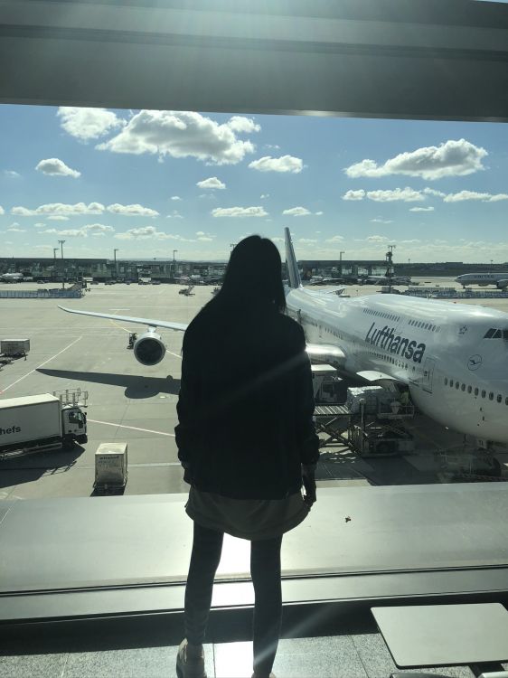 Обои воздушное путешествие, самолеты, авиация, самолет, авиакомпания в разрешении 1536x2048