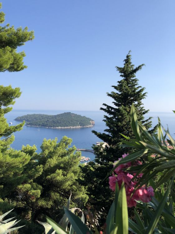 Обои растительность, пейзажи гор, биология, наука, природный ландшафт в разрешении 1536x2048