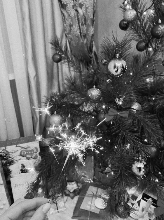 Обои елка, Рождественский день, черный и белый, Рождественские украшения, пихта в разрешении 3024x4032