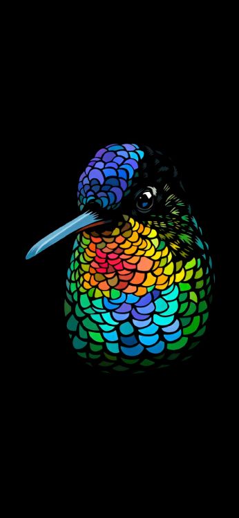 Обои футболка, птица, клюв, фазановые, Ара в разрешении 1080x2340