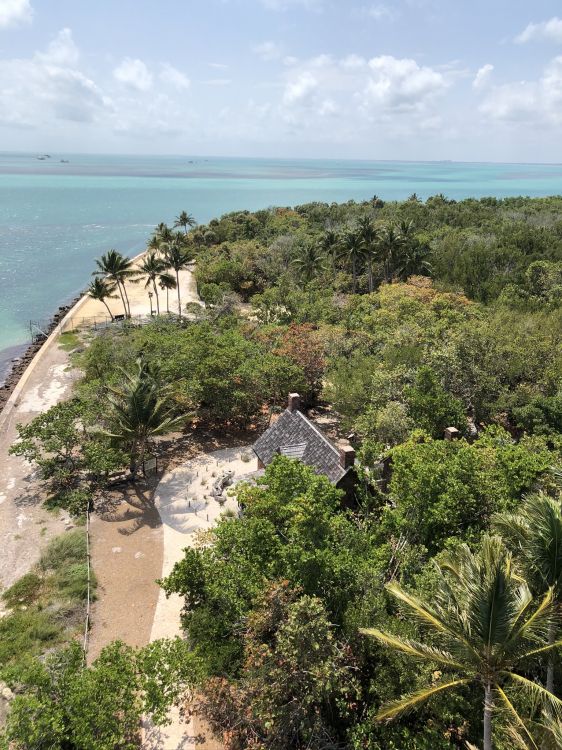 Обои растительность, туризм, растительное сообщество, побережье, горизонт в разрешении 1536x2048