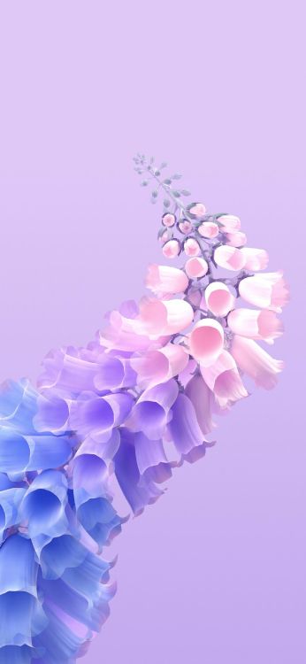 Обои виво х60 про, я живу т1х, Жив, смартфон, андроид в разрешении 1284x2778