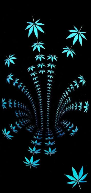 Обои лист, синий, наземное растение, арт, растение в разрешении 700x1478